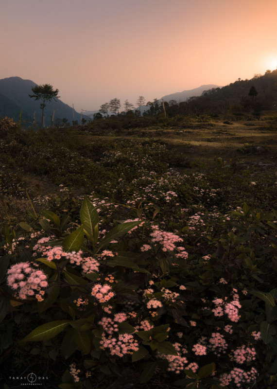 RUKSOM-570x800.jpg