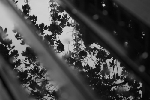 3625195744_663684fb52.jpg