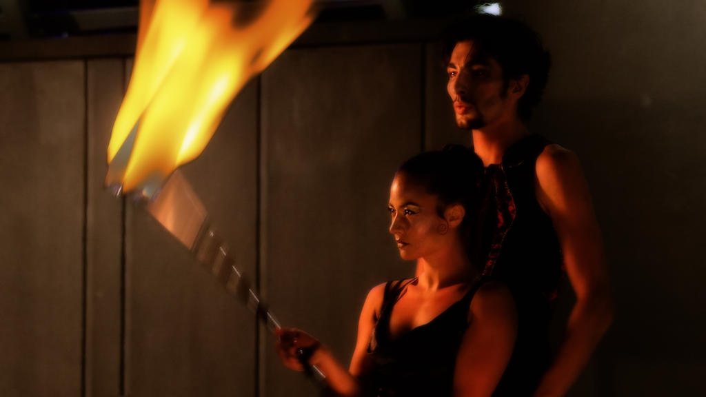 firebirth_by_draken413o-d3447h6.jpg