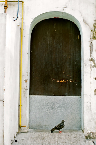 4437971257_3809e1145a.jpg