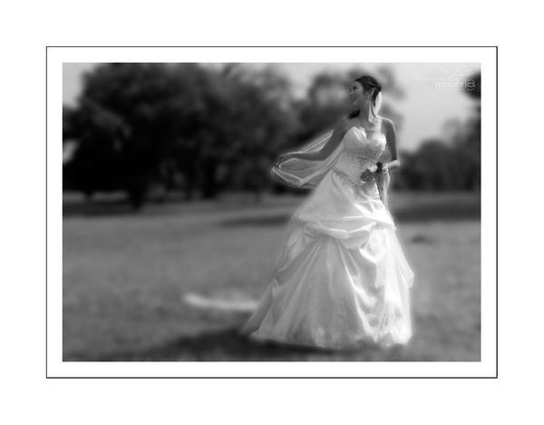 Secert_Garden___Focus_by_spect75.jpg