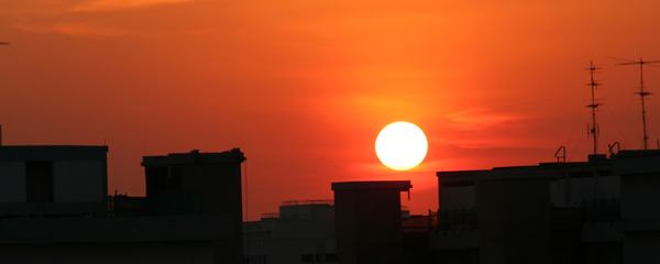 IMG_3482_NN.jpg