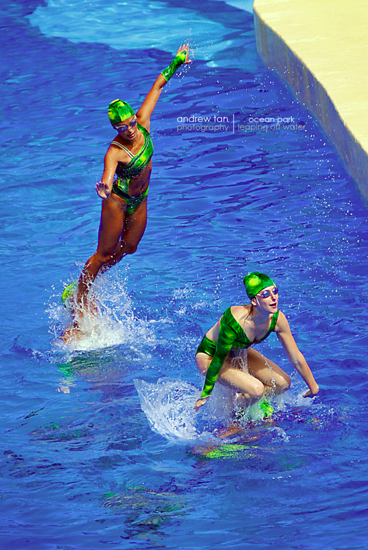 2720070735_c52105d6eb_o.jpg