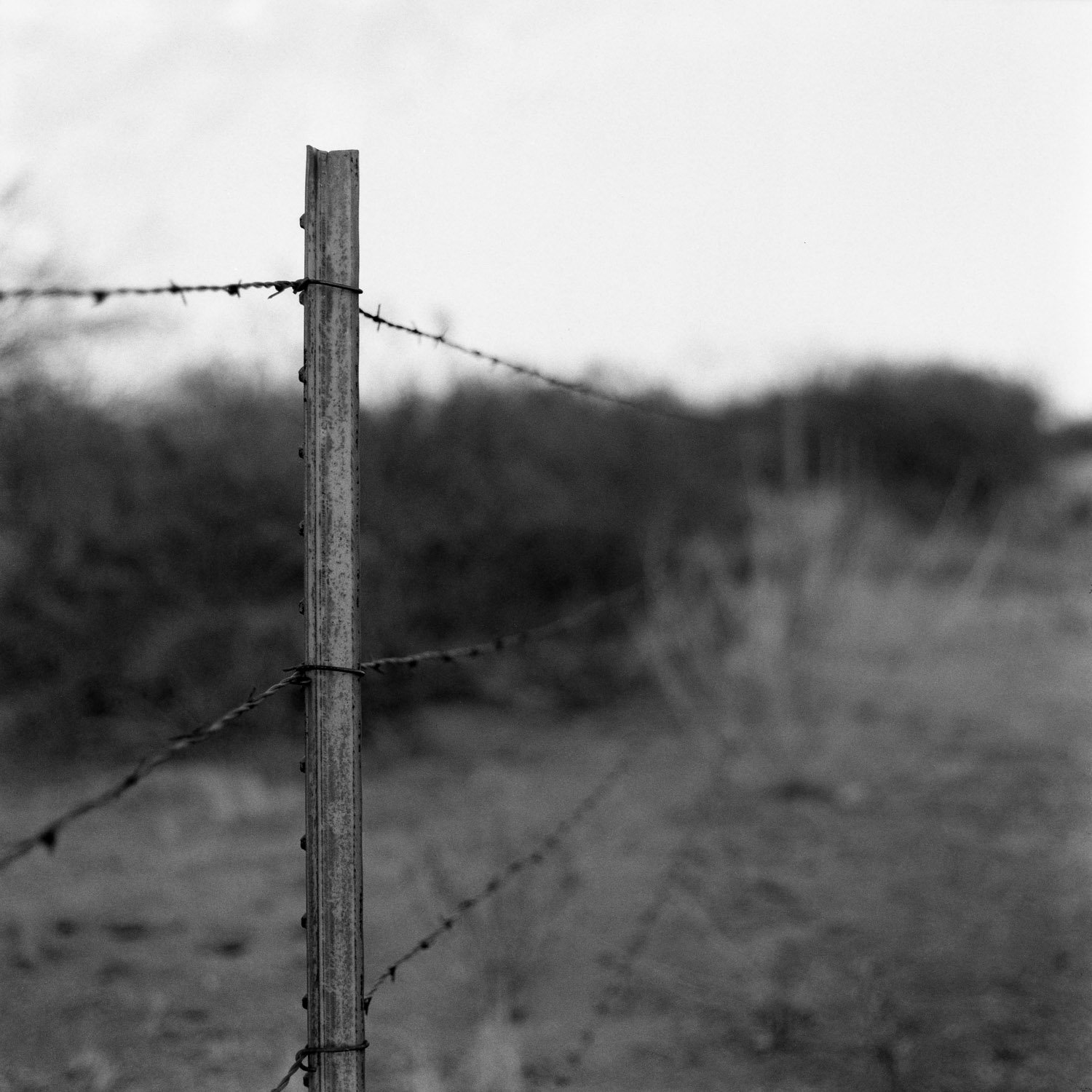 Img011.jpg