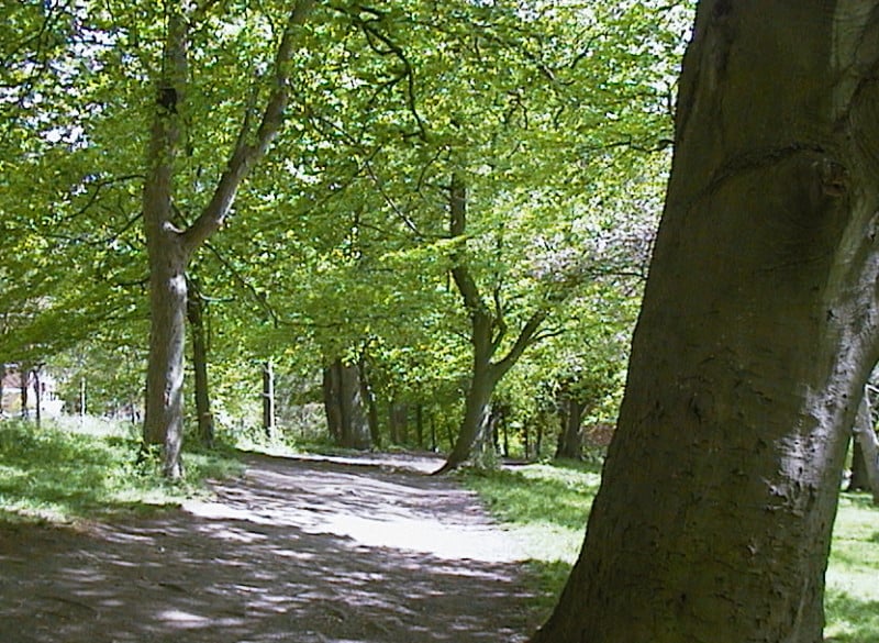 canon-powershot-600-sample-image-9-800x585.jpg