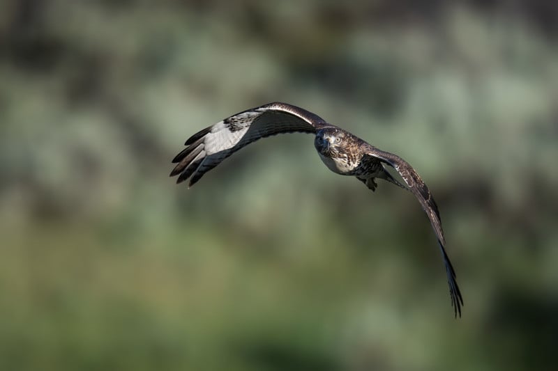 RTH-Flying-Towards-Camera-800x533.jpg