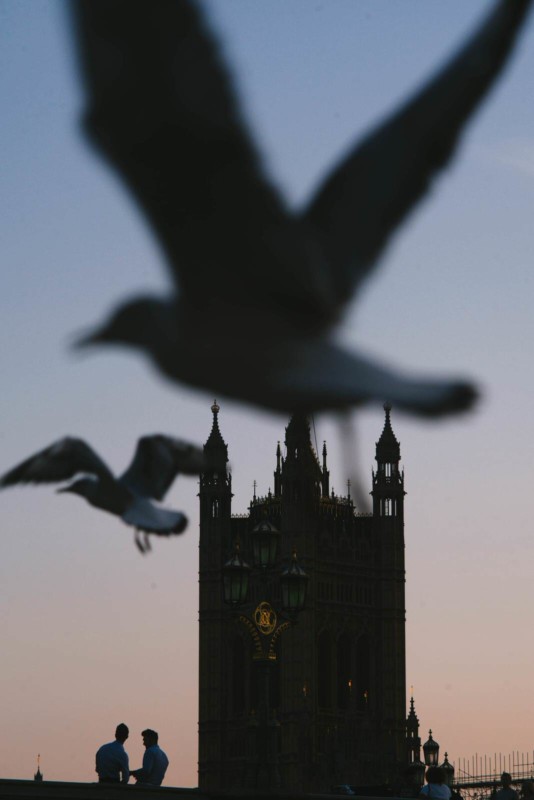 EQpWEfY-534x800.jpg