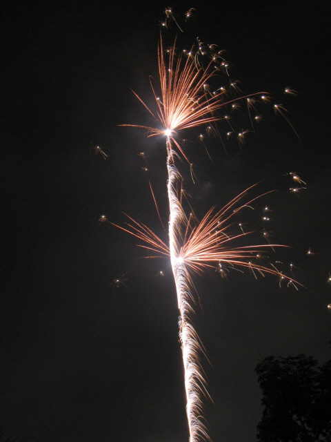 IMG_4543_480.jpg