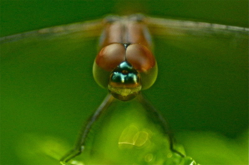 9544494164_e09721491b_c.jpg