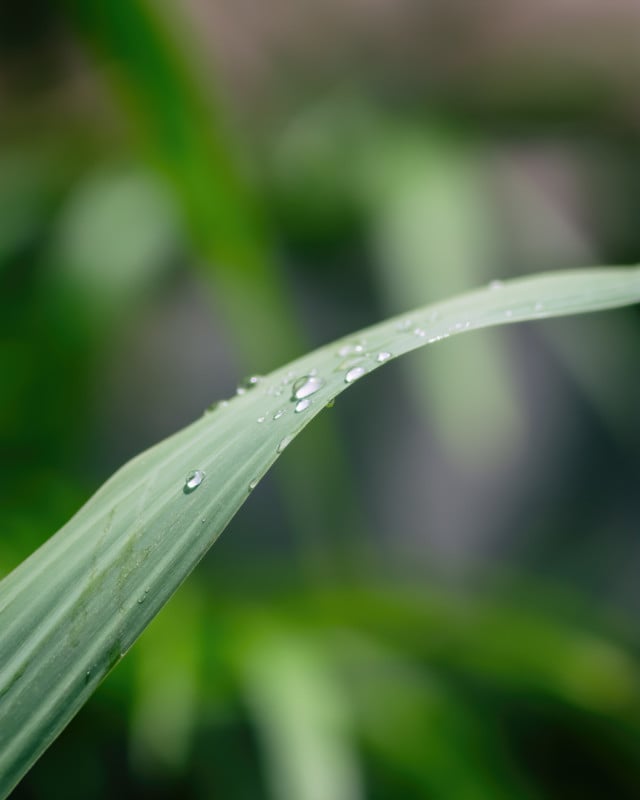 ZY_Creator135mmF2.5_LiHanHuei_09-640x800.jpg