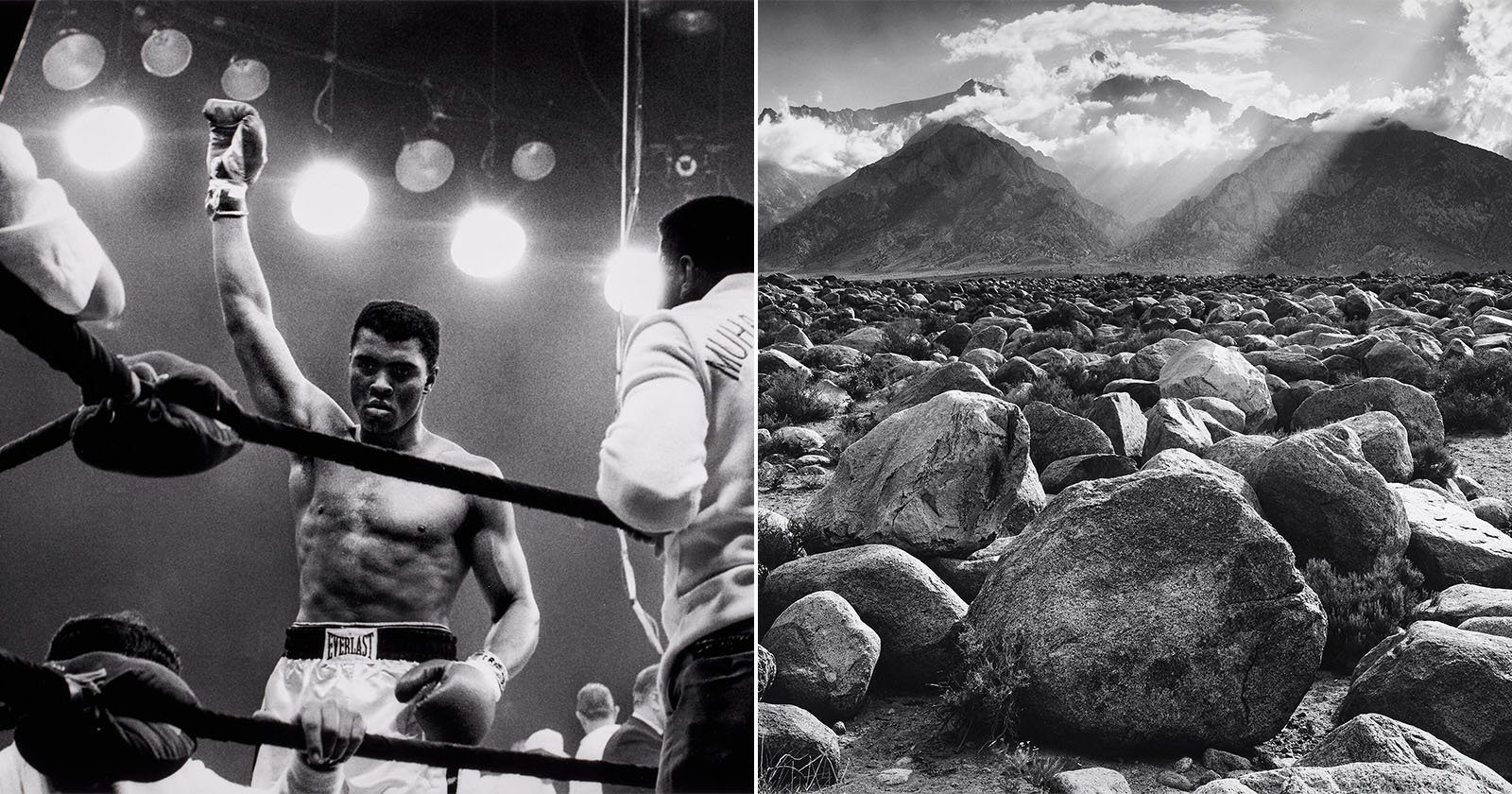 A black-and-white split image: on the left, a triumphant boxer raises his fist in a ring under bright lights; on the right, large boulders scatter across a rocky landscape with mountains and dramatic clouds in the background.