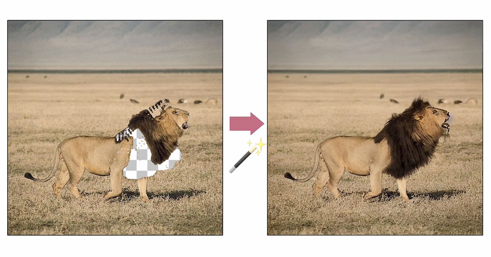 Two images of the same male lion in a grassy savanna. The left image shows the lion partially pixelated with a zebra mane, while the right image shows the lion's natural mane. An arrow and a wand icon between the images indicate transformation or editing.