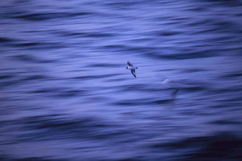 Antarctica_35_E100_12_sRGB-800x534.jpg