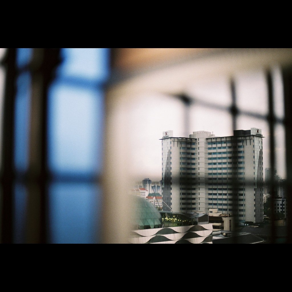 5330017741_cf05170699_b.jpg