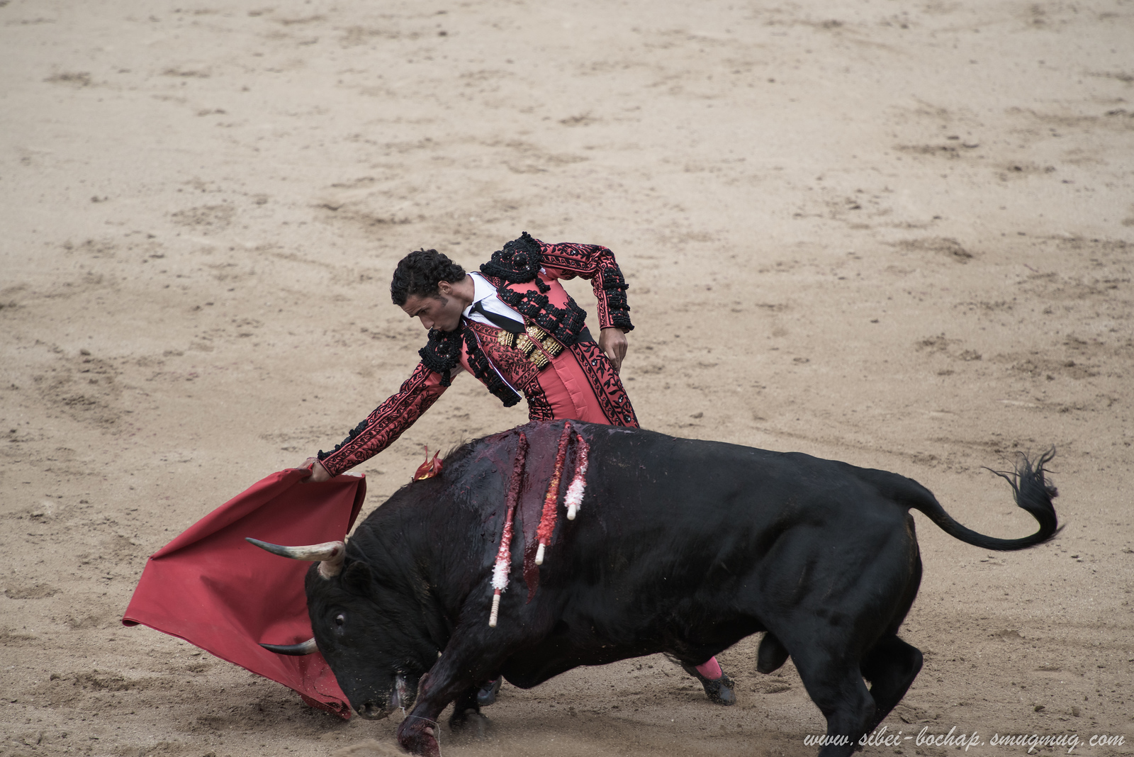 DSC7802-X3.jpg