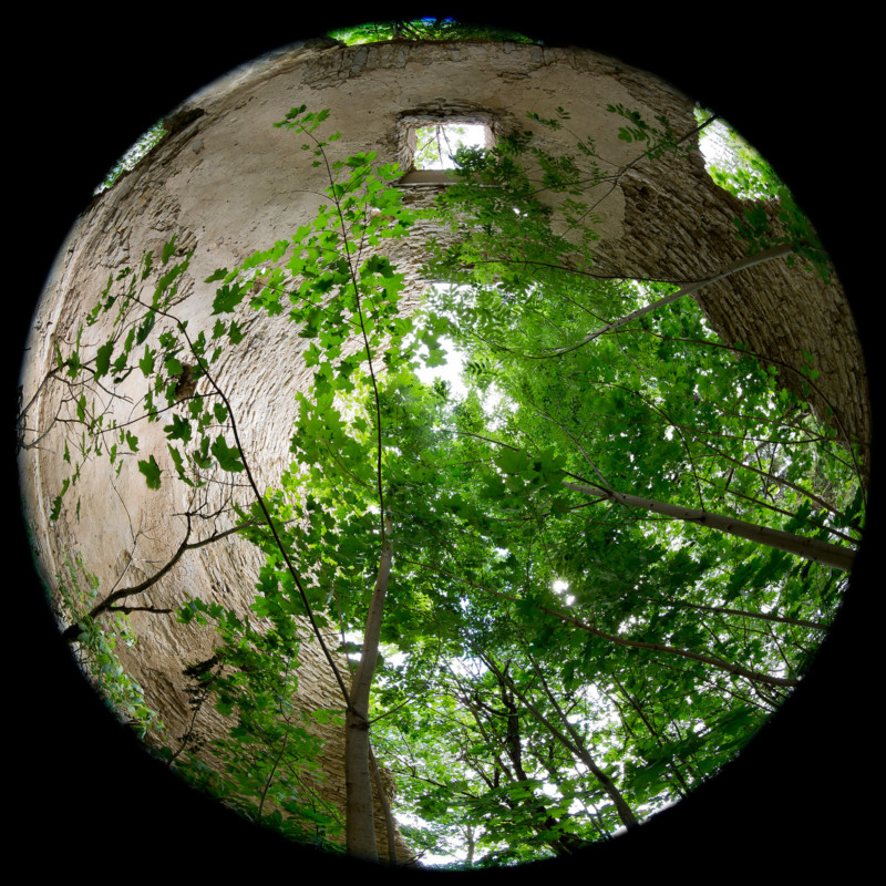 windmill-fisheye-photo-by-kaido-haagen-9-800x800.jpg