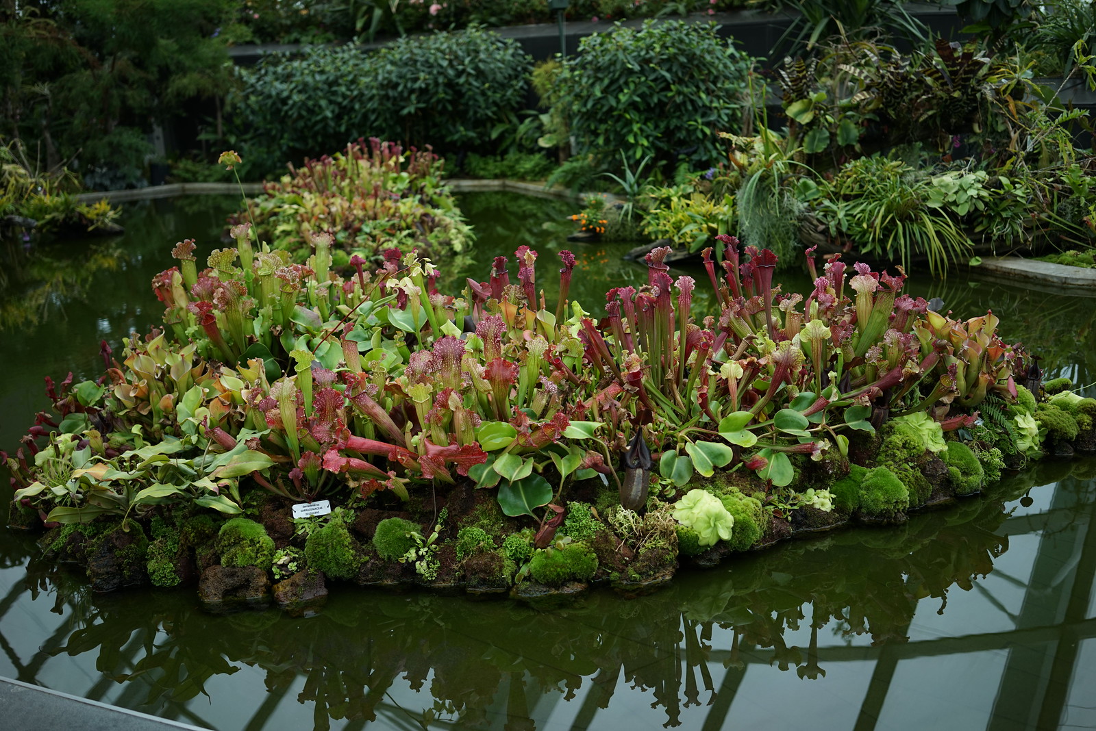 12012153314_65aa60fc6c_h.jpg