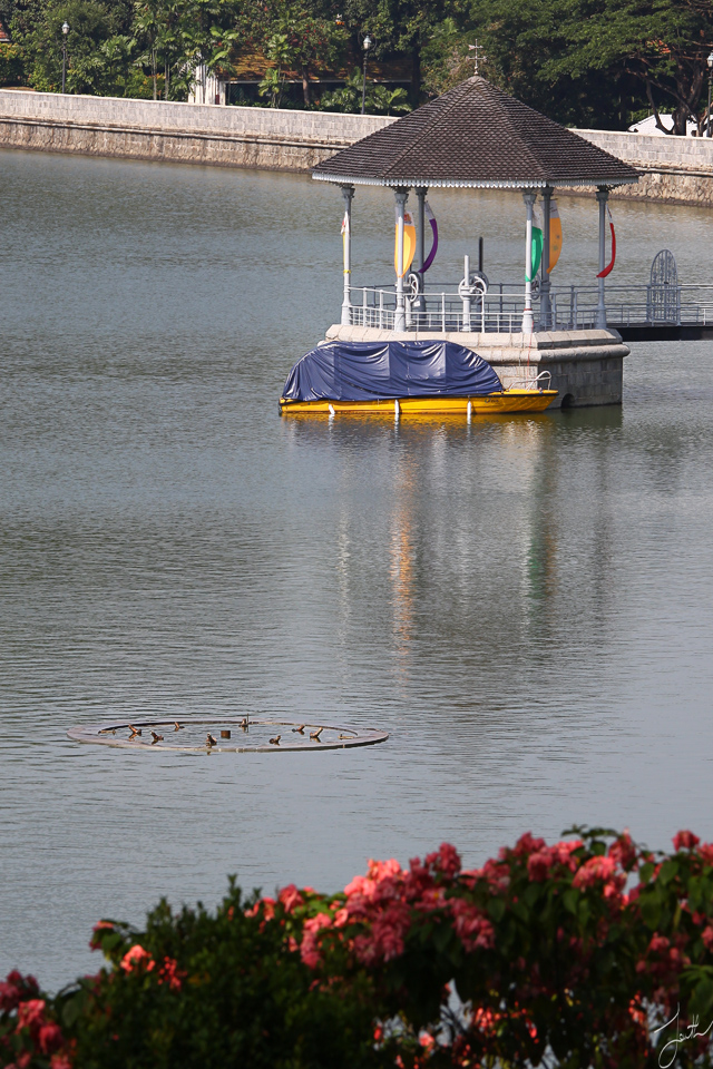 Macritchie_Reservoir2_by_Draken413o.jpg