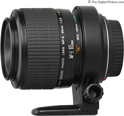 Canon-MP-E-65mm-1-5x-Macro-Lens.jpg
