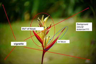 Picture2.jpg