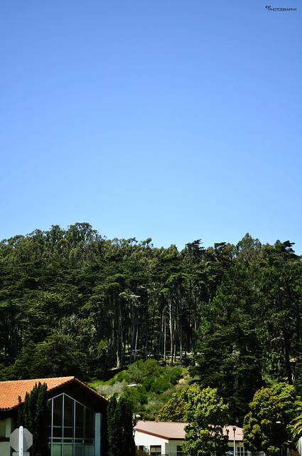 5343223776_a0013d5a49_z.jpg
