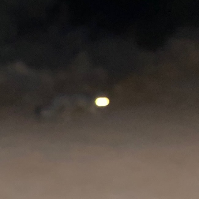 Desert_Fox_Anton_Photo_Palace_2.jpg