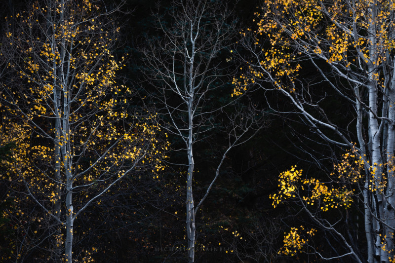 utah_fallcolor_landscapephotography_10-800x533.jpg