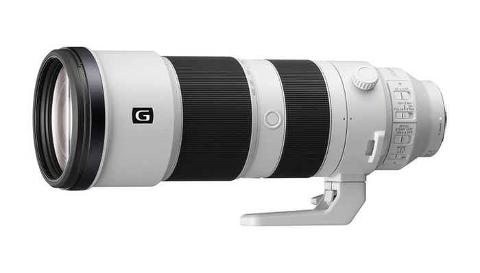A Review of the New Sony FE 200-600mm f/5.6-6.3 G OSS Lens