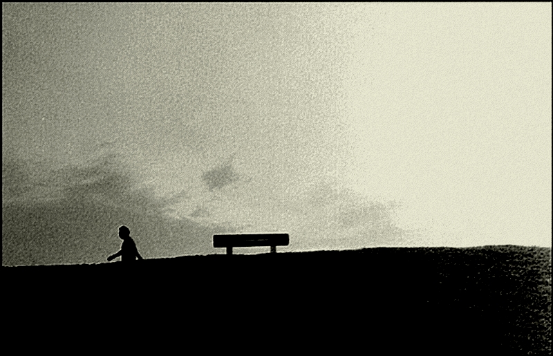 3000726123_0e7975c740_o.jpg