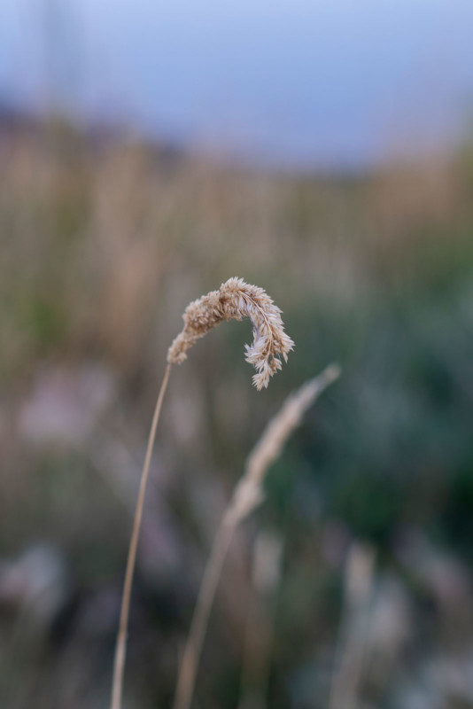 atxm_56_04-534x800.jpeg