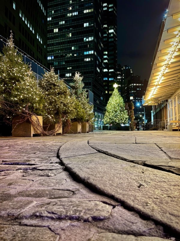 01_Seaport-Low-Ground-Tree-Shot-600x800.jpg