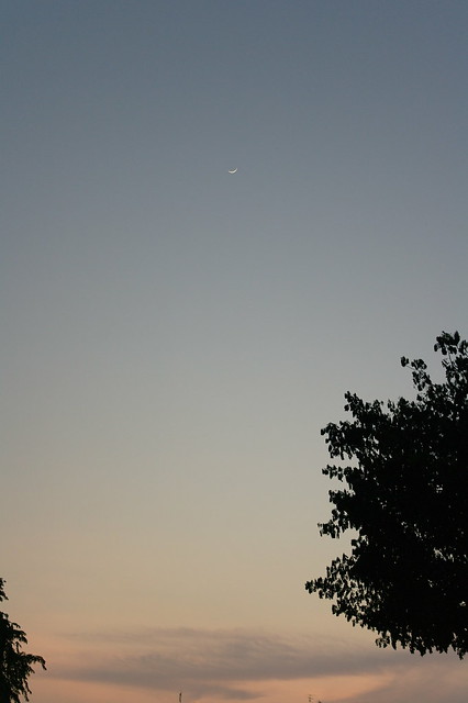 5900557401_7916c8c13e_z.jpg