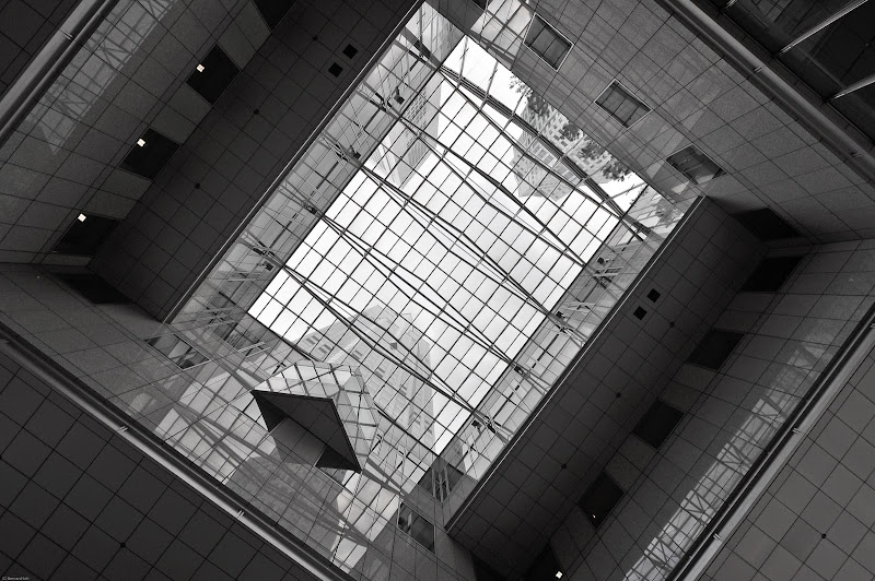 DSC_0714.jpg
