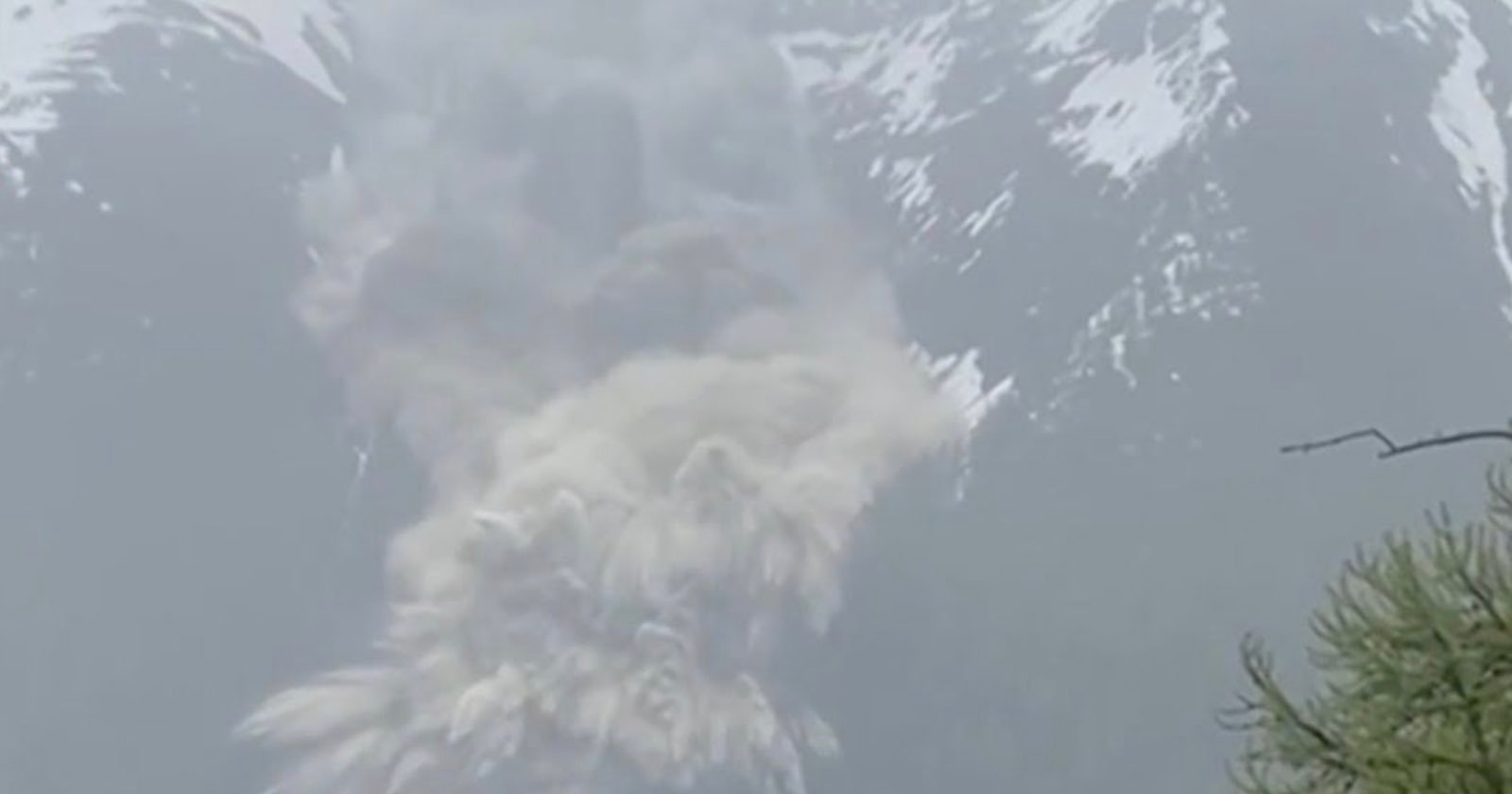 A large avalanche cascades down a snow-covered mountain, sending clouds of snow and debris billowing into the air, with trees visible in the foreground.