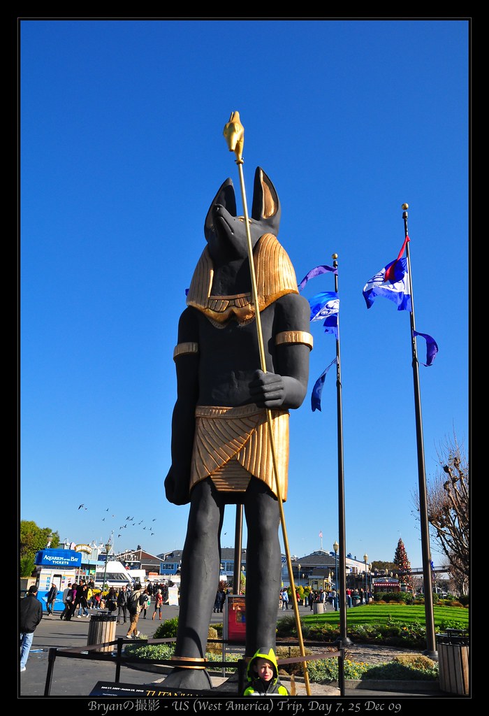 4291996426_92dde745b0_b.jpg