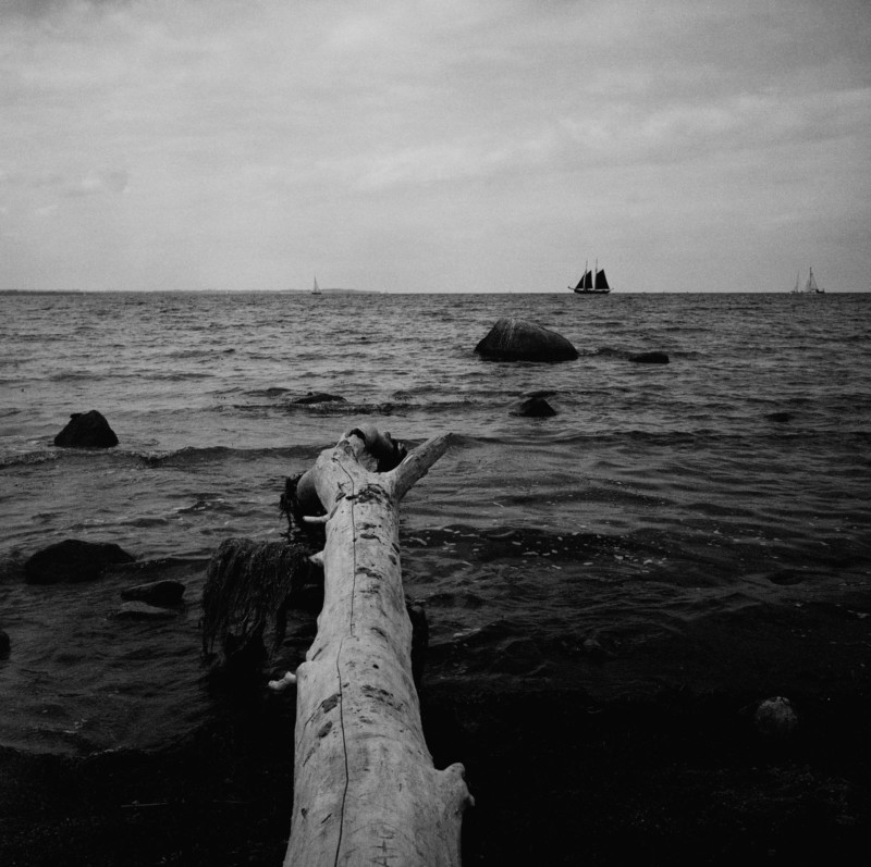 Tobias_s-Zone-shot-4-800x797.jpg