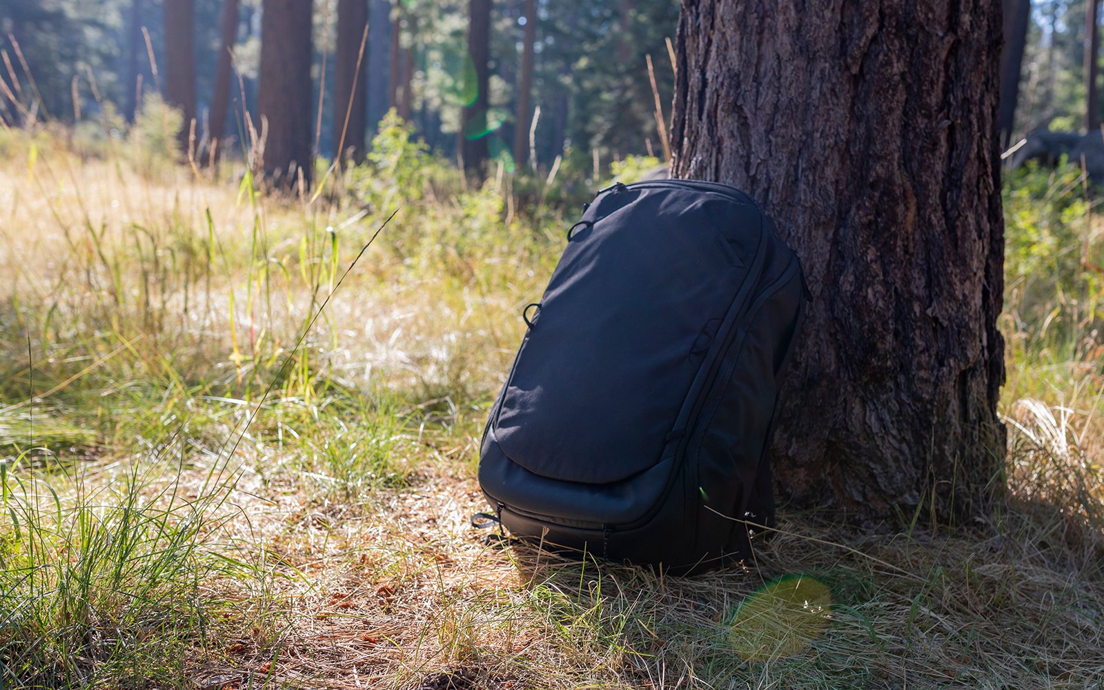 peak-design-travel-backpack.jpg