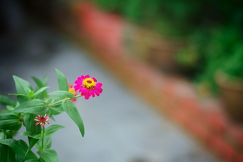 4714619590_d2cfbf6042.jpg