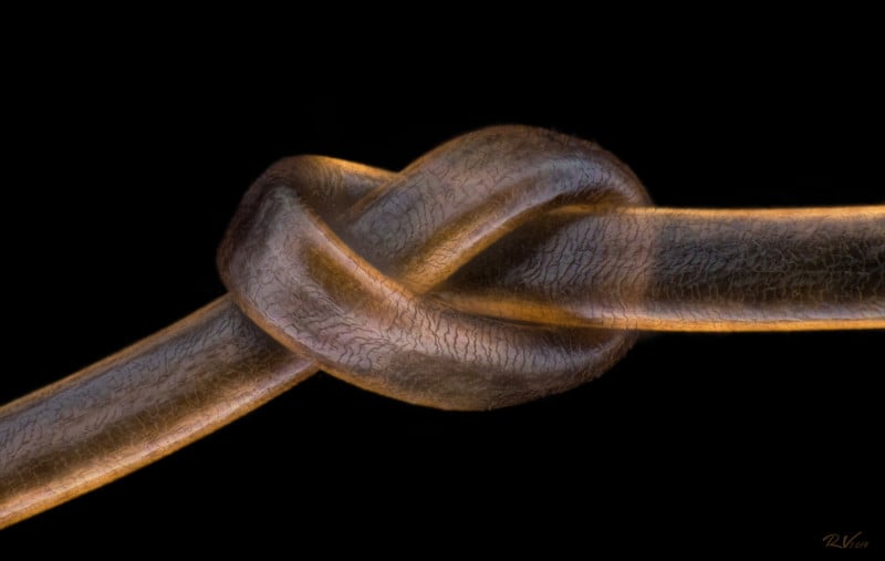 12-Hair-800x507.jpg