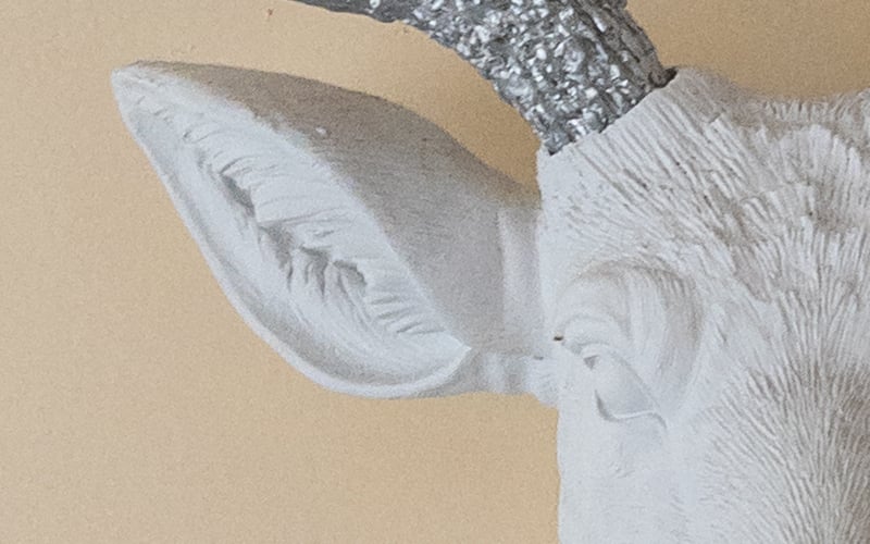 Plain_2_crop.jpg