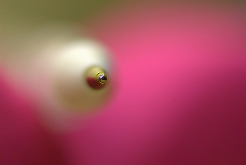 2746221011_cddcf6b66c.jpg