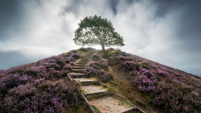 Why Denmark Is the Fantastic Landscape Photography Country You Will Never Visit