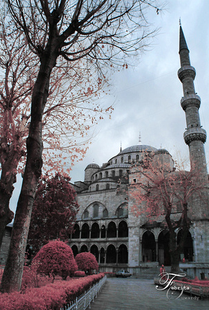 p709847135-3.jpg