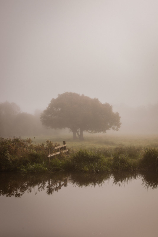 Solitary-534x800.jpg