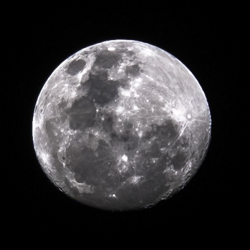 DSCF0227-494x494.jpg