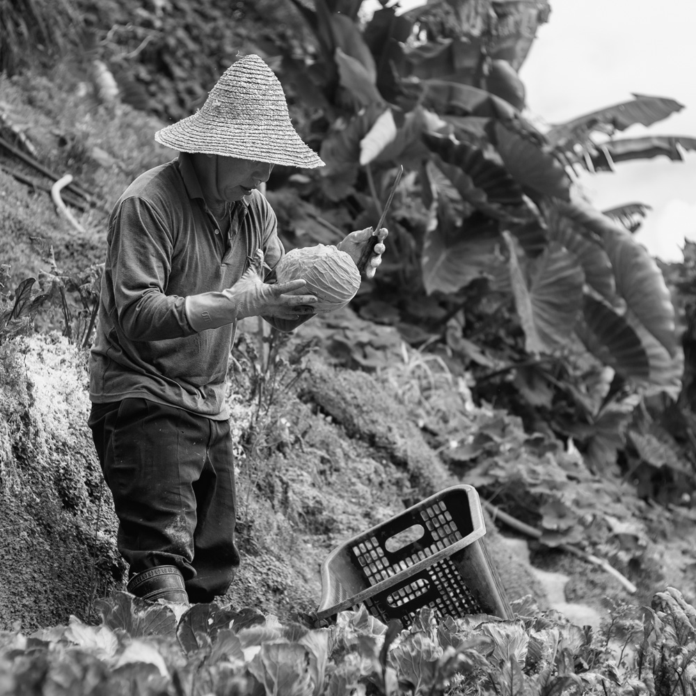 farming_at_the_hillside_by_astra888-d5ywksp.jpg