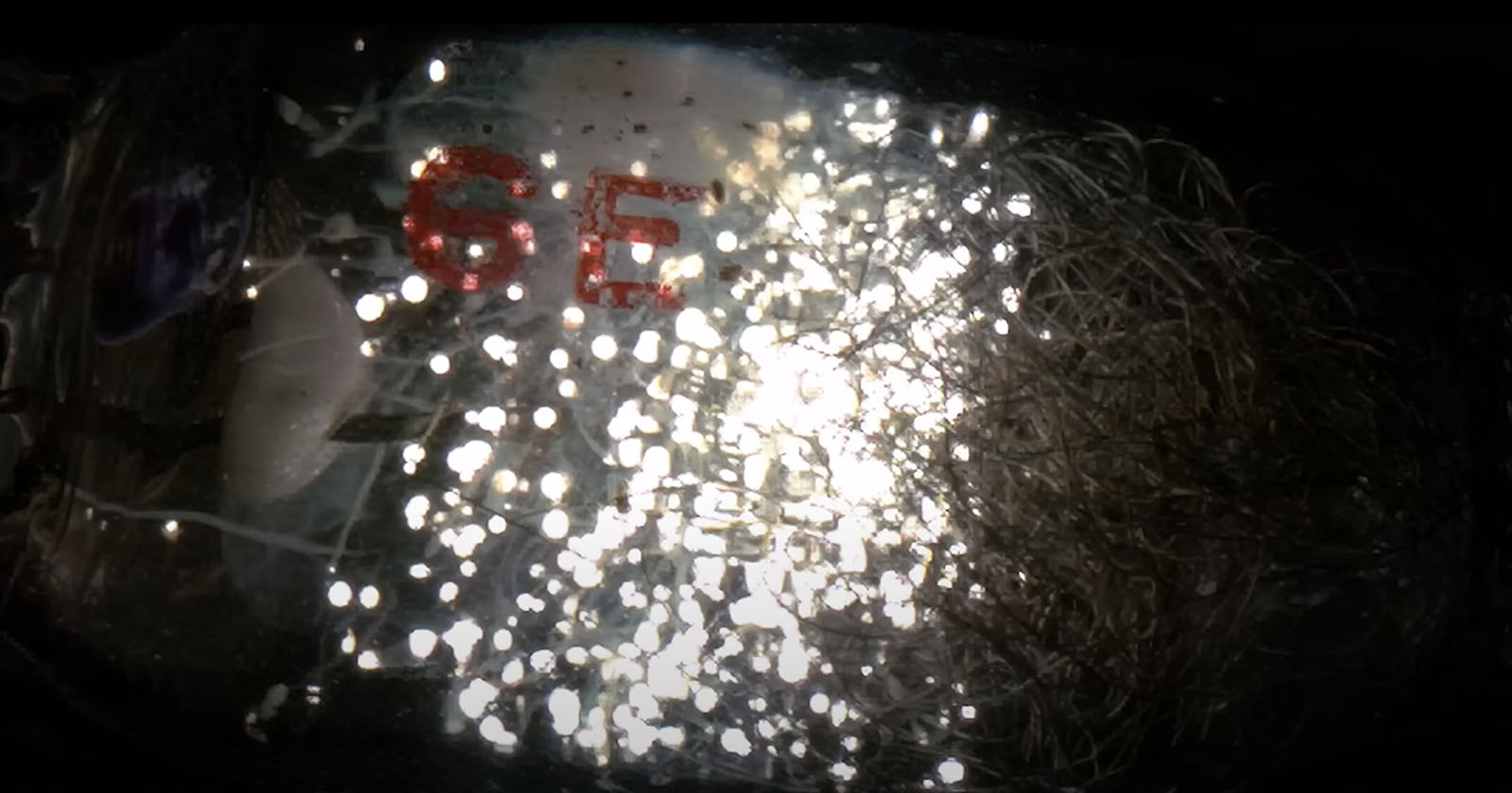 Exploding flash bulb in slow motion