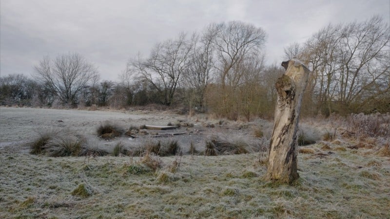 DSCF4156-2-800x450.jpg