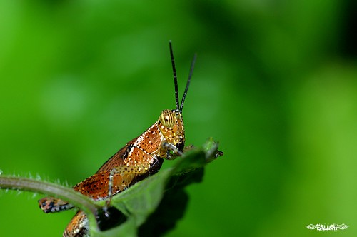 4796494980_3befa619c8.jpg