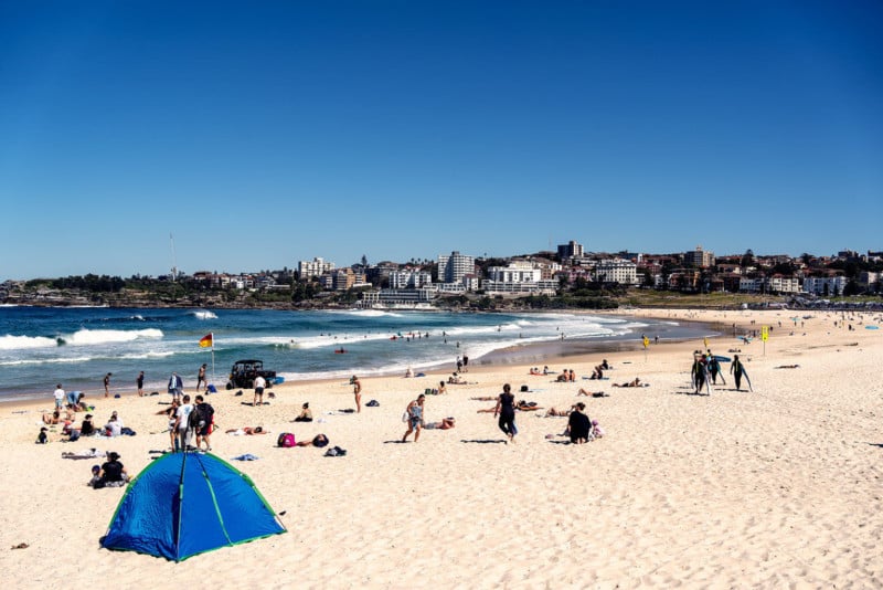 Sunny-Bondi-3-1536x1025-1-800x534.jpg